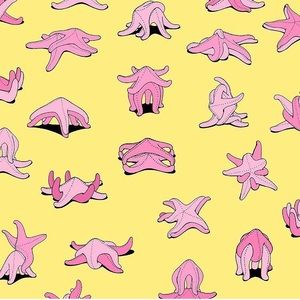 Meet your Posher, Alla